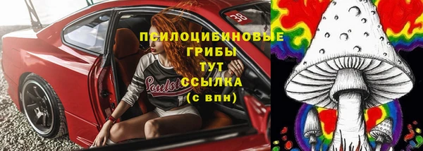 spice Алзамай