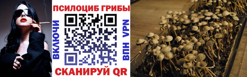 Псилоцибиновые грибы Magic Shrooms  Далматово 